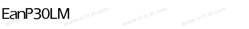 EanP30L Medium字体转换